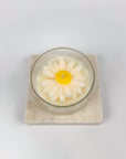 Candle ~ Daisy